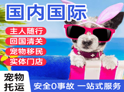 大兴航空快递国际宠物托运 【国